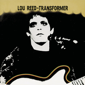 Traduzione Perfect Day Testo Tradotto Lou Reed