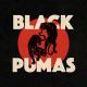 Black Pumas <span>(2020)</span> cover